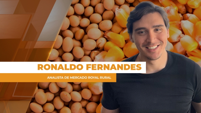 "Efeito Guerra": Preços da soja acumulam quase R$ 5 e milho mais de R$ 3 no BR; trigo dispara na CBOT