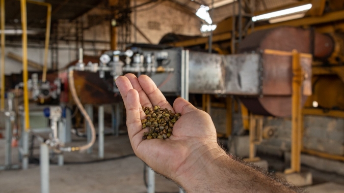 Projeto pioneiro usa gás natural na secagem de café e impulsiona inovação no Espírito Santo