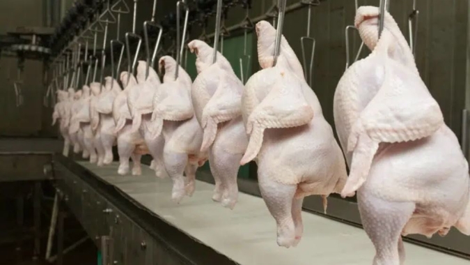 Inflação de até 25% e queda da autossuficiência pressionam mercado de frango na Estônia
