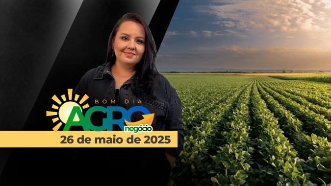 Frente fria intensa chegando ao BR, espera pelo Plano Safra, relações EUA x UE e mercado do milho x gripe aviária