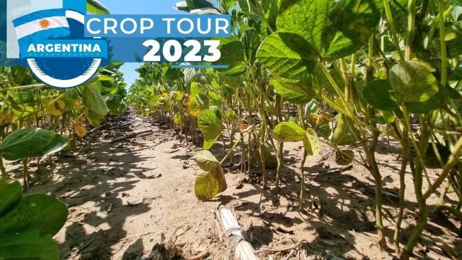 Argentina: Crop Tour chega a regiões da província de Córdoba onde soja e milho sofrem com solos mais secos