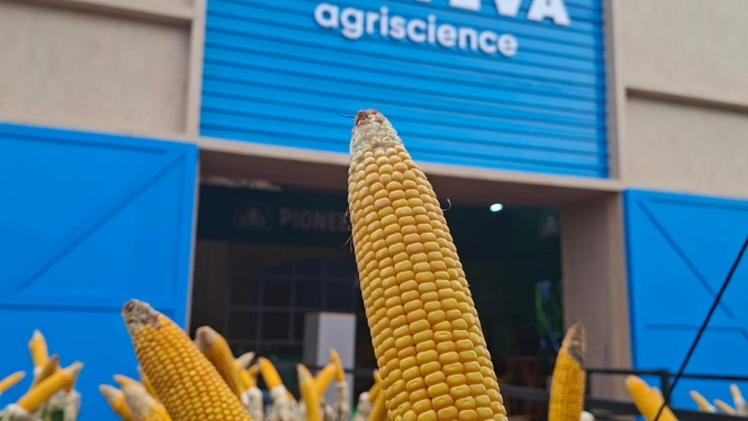 Corteva leva à Showtec Maracaju tecnologias em sementes, defensivos químicos e soluções biológicas para impulsionar a produtividade das lavouras