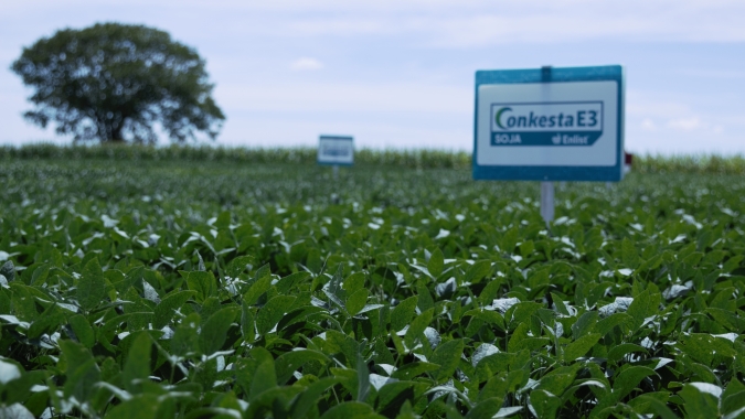 Corteva Agriscience lança soja Conkesta E3® no Brasil