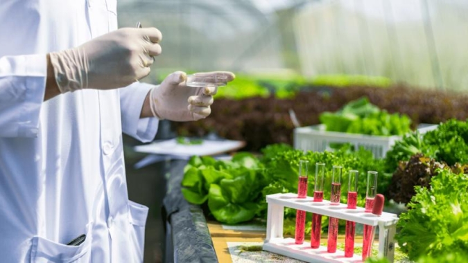 Laboratório do Bureau Veritas de Rio Grande do Sul conquista certificação da ANDA para análises de fertilizantes
