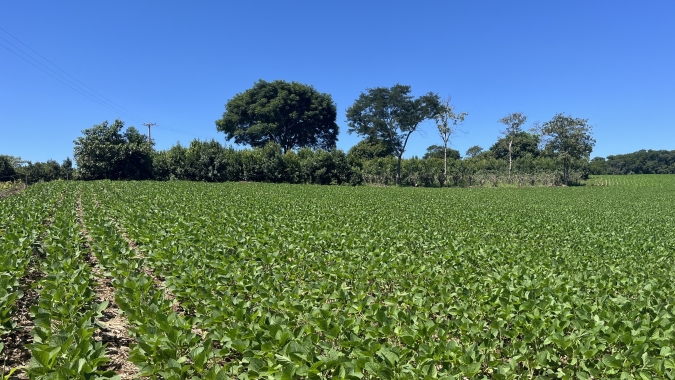 BASF e Fundação Solidaridad se unem para ajudar agricultores brasileiros a promoverem a biodiversidade