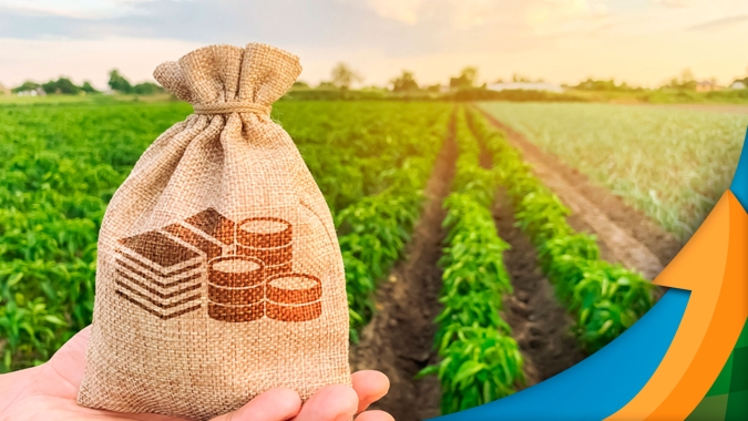 Novo Secretário de Política Agrícola do Mapa avalia implementação do plano safra, fala da falta de dinheiro para o Seguro e já espera cortes na pasta com bloqueio de recursos