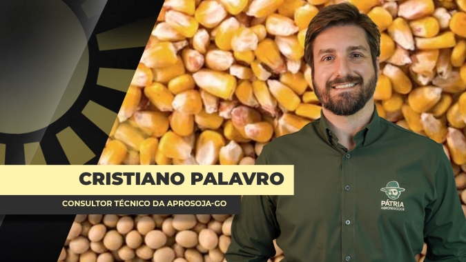 Soja & Milho: Semana começa com volumes mais fortes de negócios, mas recente baixa do dólar esfria o fluxo