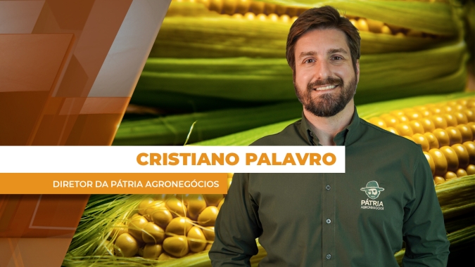 Milho: Mercado brasileiro deverá trazer melhores oportunidades de comercialização no 2º semestre