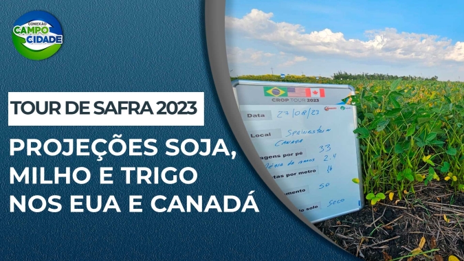 Produtor rural brasileiro: a importância de acompanhar as atualizações sobre a safra