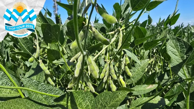 Safra de soja da Argentina não chegará a 50 mi de t, após perdas pelo calor e pela seca