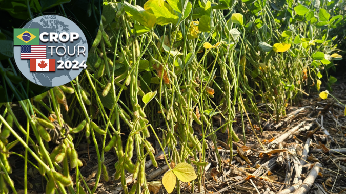 Dia 2: Safras de soja e milho em Ohio precisam de ao menos mais uma chuva para boa finalização