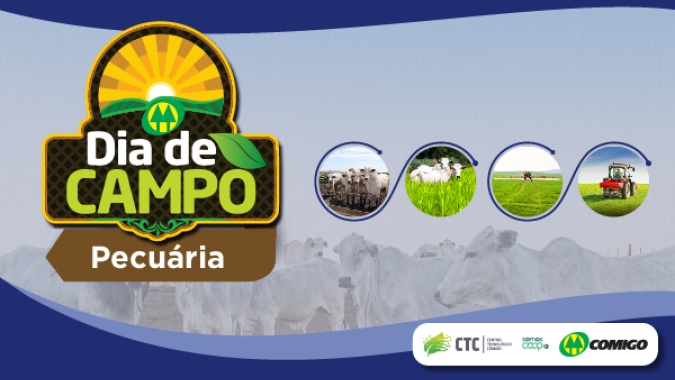Comigo realiza Dia de Campo focado em pecuária