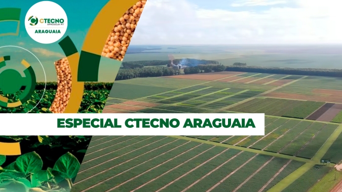 10 anos do CTECNO PARECIS: Como a pesquisa pode impactar a produtividade dos grãos em solos arenosos