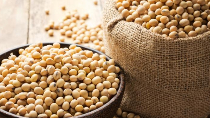 BASF e Grão Direto firmam parceria com foco na digitalização do mercado agrícola