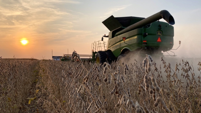 USDA aponta começo da colheita da soja nos EUA com ritmo mais acelerado do que o esperado pelo mercado