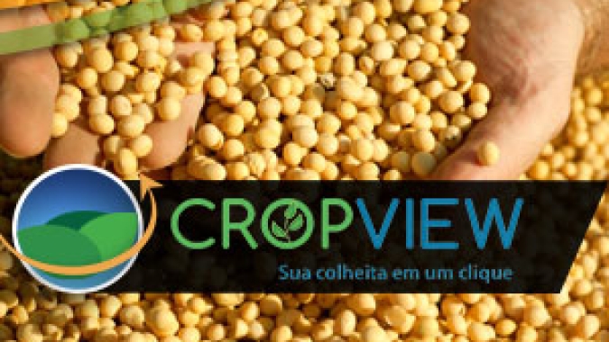 Safra de soja em Roraima deve ser prejudicada pelo excesso de chuva. Potencial produtivo das lavouras pode recuar até 20%
