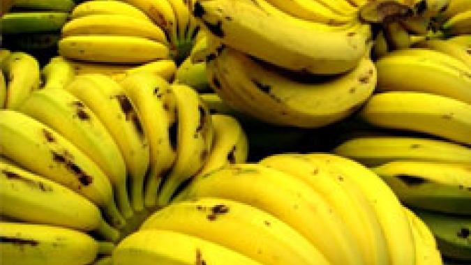 Banana: Colômbia amplia luta contra o Fusarium TR4