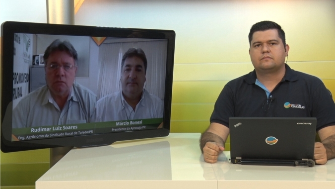 Chuvas no Paraná prejudicam soja plantada em setembro e aumentam pressão de doenças nas de outubro