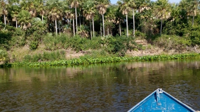 Seca histórica no Pantanal provoca maior vazante em 121 anos