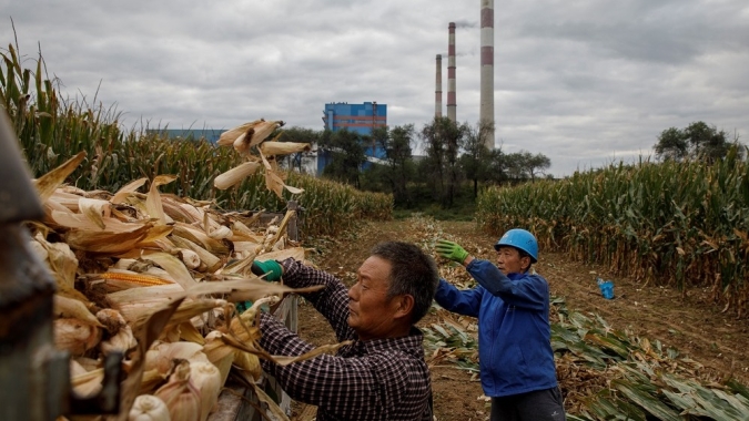 China mantém projeções para safra 2020/21; vê boa produção de milho e preços estáveis