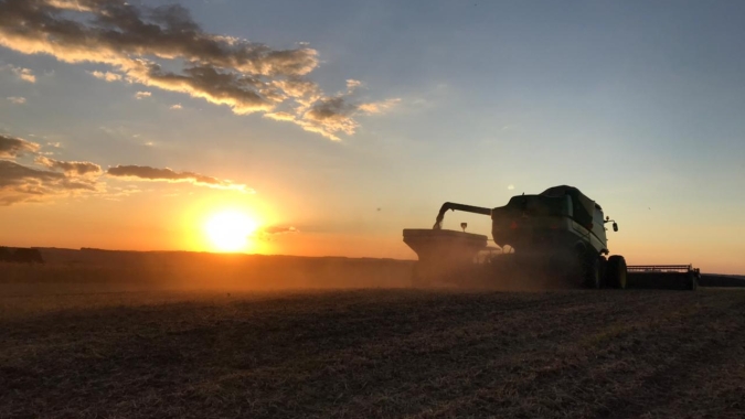 Colheita de soja do Brasil 20/21 revisada para recorde de 137,2 mi t, diz Safras