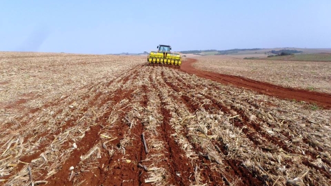 Período de vazio sanitário da soja termina no próximo dia 15 de setembro no MS