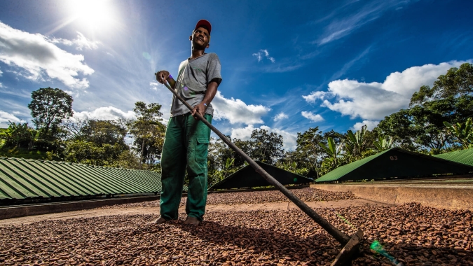 AIPC e CocoaAction Brasil lançam o segundo vídeo sobre o Currículo de Sustentabilidade do Cacau
