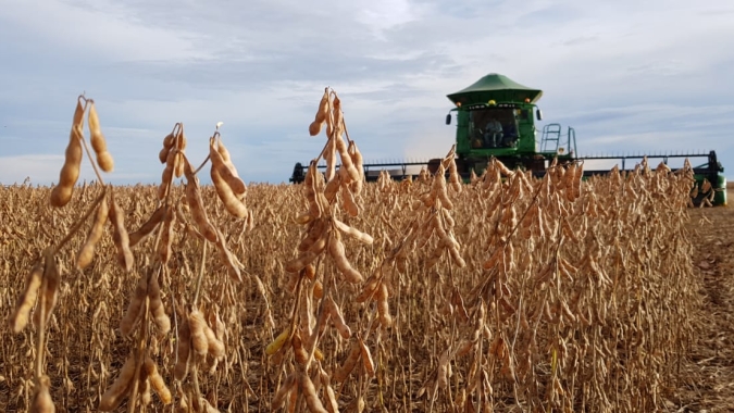 Governo eleva projeção do Valor Bruto da Produção Agropecuária em 2023 a R$ 1,256 tri