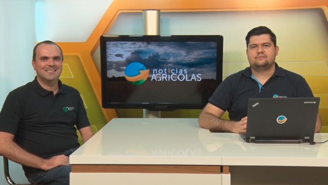 Produtor brasileiro perde até 12 sc/ha devido a problemas com as plantadeiras