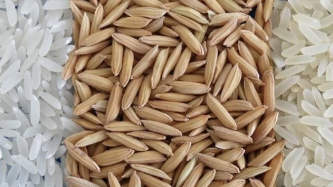 Apesar da lentidão, preços avançam no mercado de arroz, relata Safras & Mercado