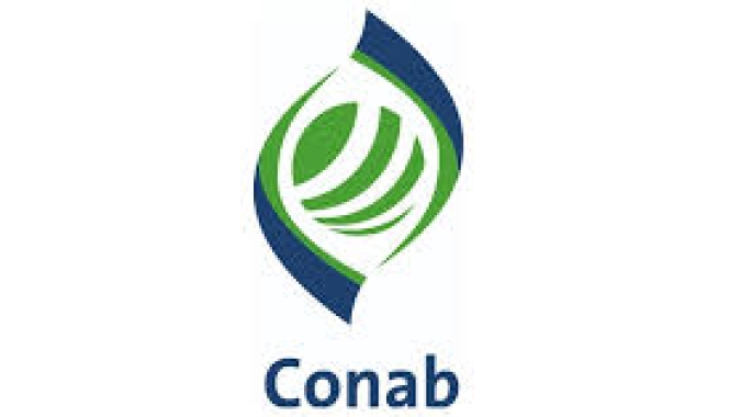 Conab: Nota de repúdio contra atos de vandalismo e antidemocráticos