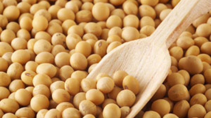 Soja: Mercado recua em Chicago nesta 6ª começando a reagir aos últimos números do USDA