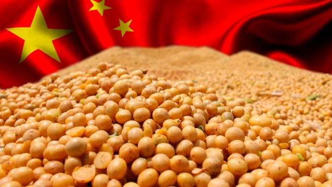 Soja: Mantendo foco na disputa entre chineses e americanos, Chicago recua nesta 2ª feira