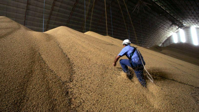 Anec eleva projeção de exportação de soja em abril para 15,15 mi t