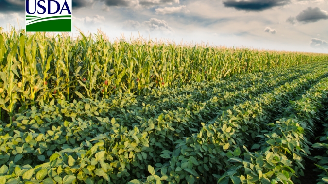USDA Outlook Forum estima safras maiores nos EUA, mas estoques ainda apertados de soja e milho