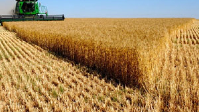 FecoAgro/RS considera que juros do Plano Safra poderiam ter redução maior