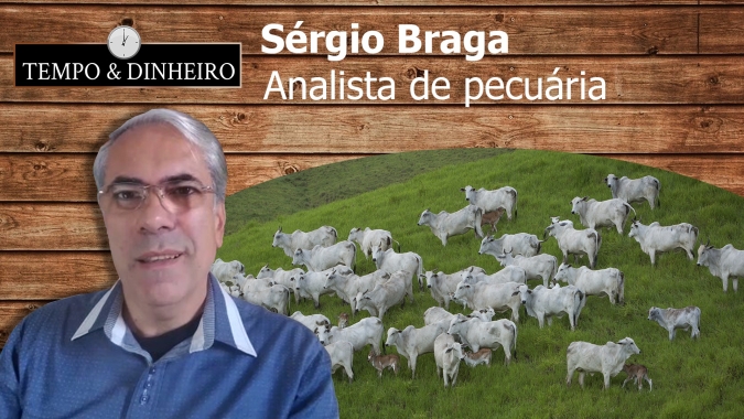 Sérgio de Baco: Boi gordo pressionado busca novo piso em SP