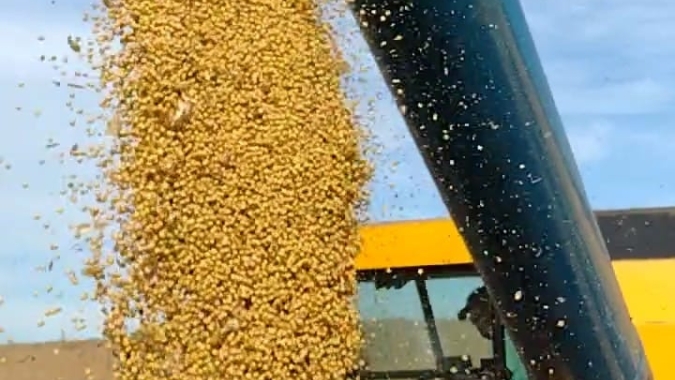 Colheita da soja está tecnicamente encerrada no Rio Grande do Sul