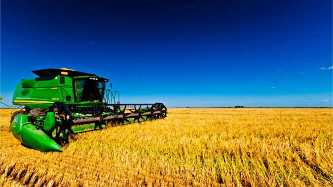 Arrozeiros miram mercado externo para ampliar competitividade do setor
