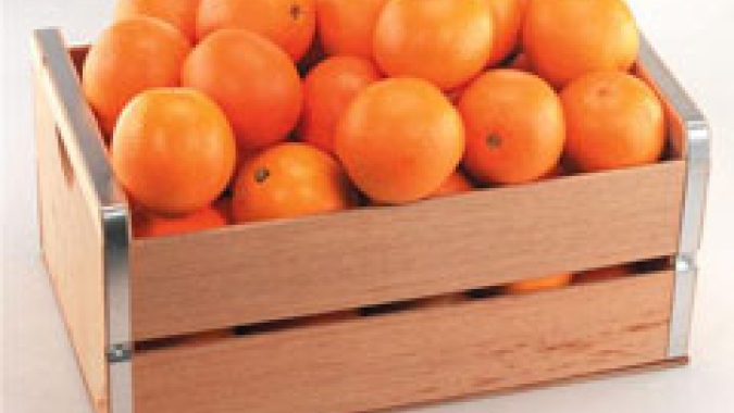 Citros/Cepea: Laranja está valendo ouro, e oferta restrita segue impulsionando cotações