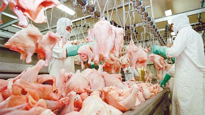 Embarques de carne de frango aceleram no início de abril, amparados pelo câmbio
