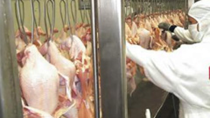 Exportação de carne de frango para os Emirados Árabes aumenta em quase 30% em 2021