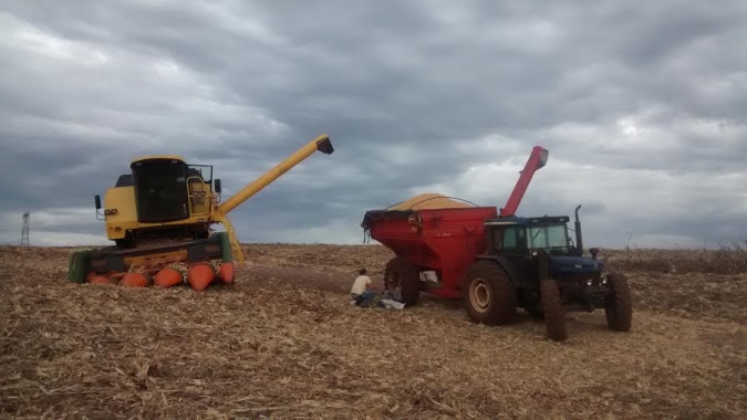 Clima não ajuda e colheita do milho passa a ficar atrasada na Argentina, aponta Ministério da Agricultura