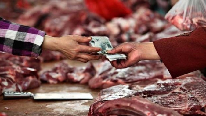Carne Bovina: Volume exportado alcança 123 mil toneladas até a terceira semana de janeiro/24
