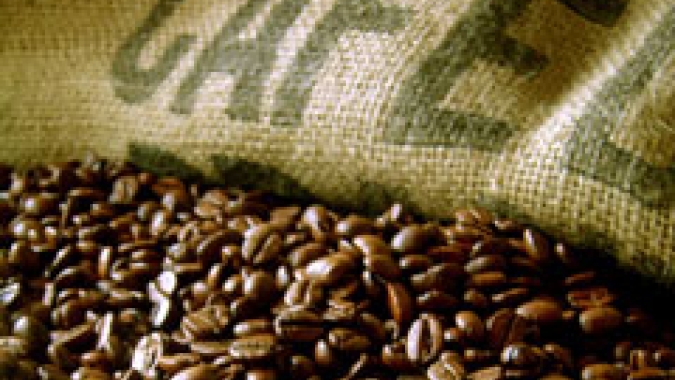 Exportações de café não torrado faturam US$ 1,042 bilhão nos quatorze dias úteis de novembro 2024