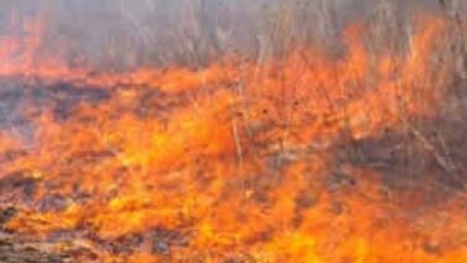 Clima mais úmido deve favorecer a redução de queimadas no Brasil, diz Nottus