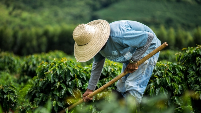 Sem referência de Nova York, mercado físico de café tem dia tranquilo no Brasil