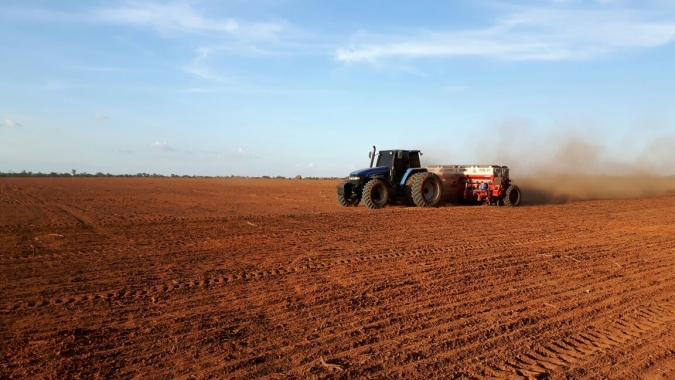 Conab aponta índice de plantio de arroz, milho e soja maior que período anterior