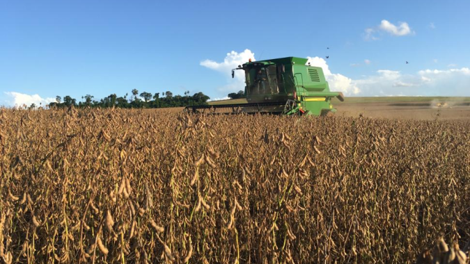 Colheita de soja alcança 27% da área no Rio Grande do Sul; milho chega a 70%