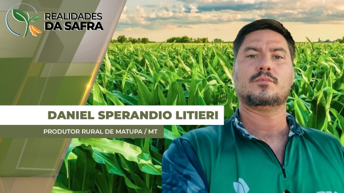 Colheita do milho começa com boa expectativa de produtividade em Matupa/MT